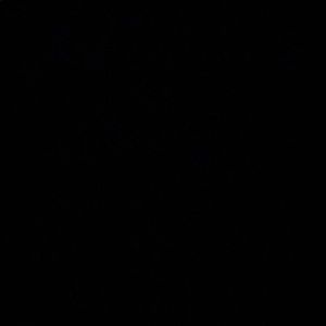 Meet your Posher, Jake